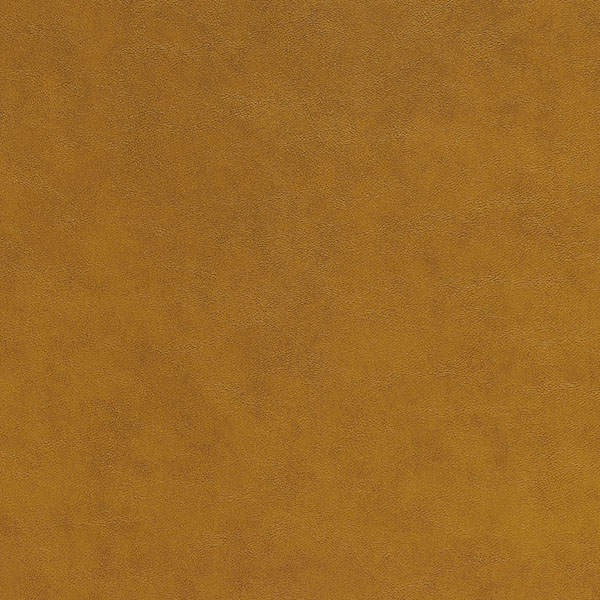 ALMOST<sup>&reg;</sup> Asheville