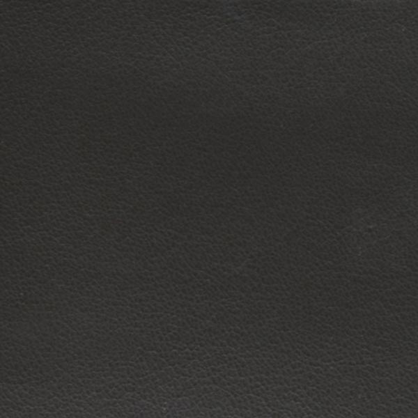 Grey AICN219