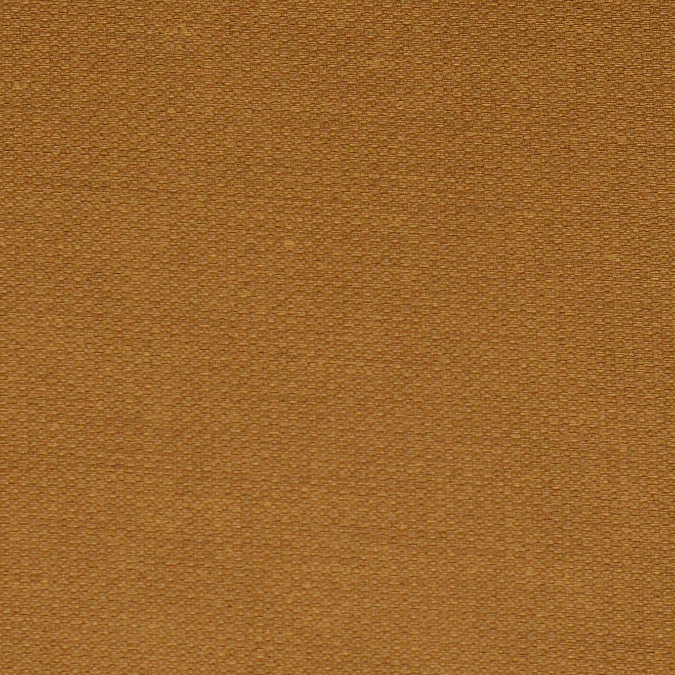 Tawny BOHO001