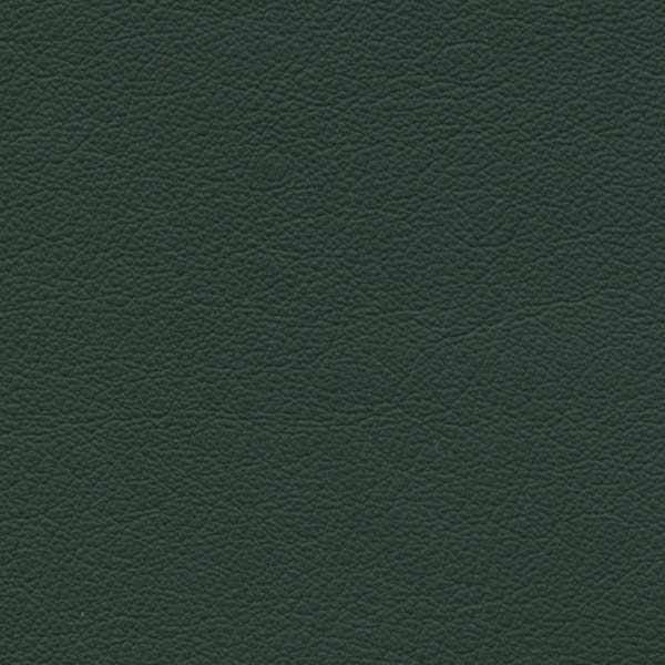 Pine Needles COPEN60