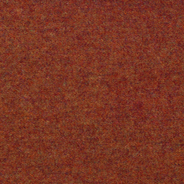 Autumn KN14