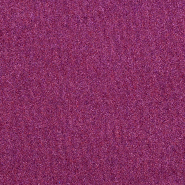 Fuschia KN15