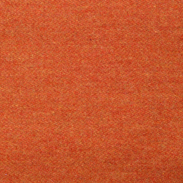 Carrot KN20